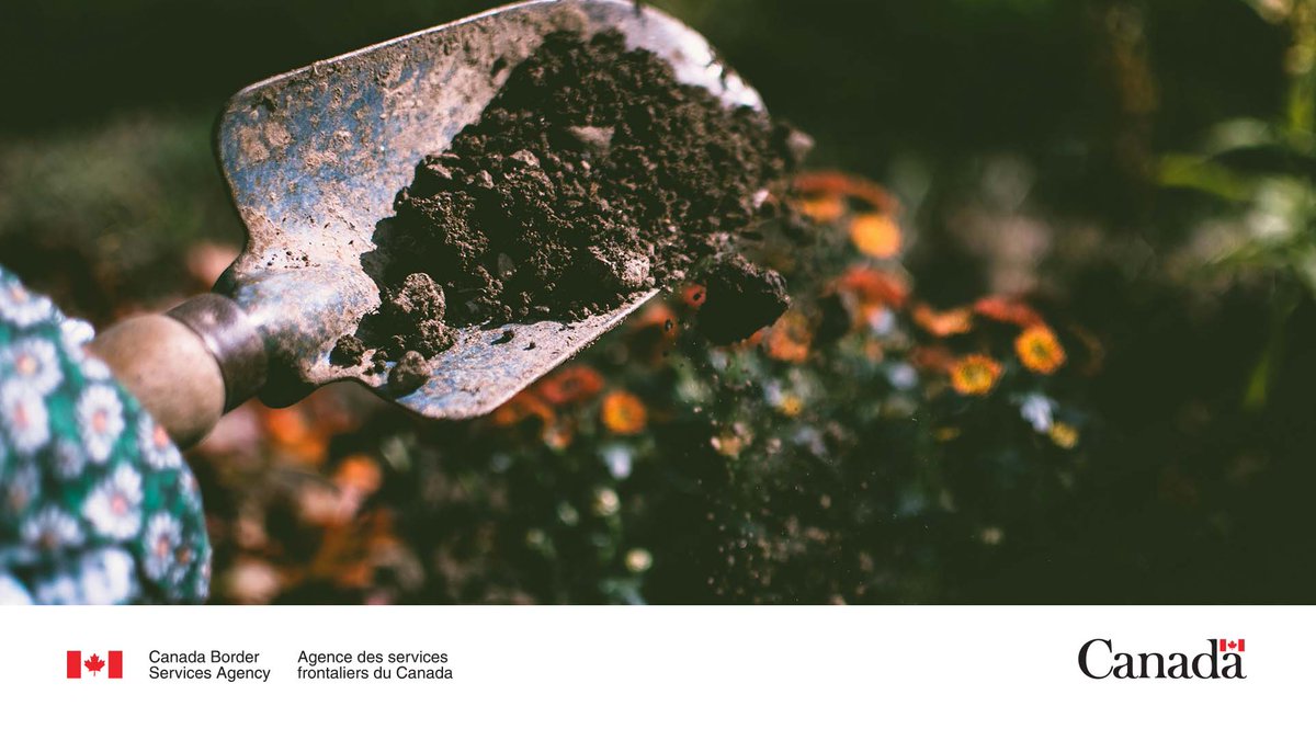 #Fact: Soil can carry pests and diseases. #CBSA works to stop invasive species from entering our country and protects Canada’s economy, environment and natural resources from soil contamination. Learn more: ow.ly/zIPj50RaROj