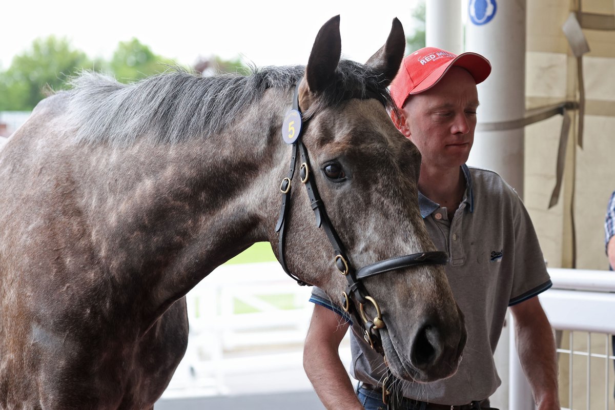 Village Master gives @wgreatrexracing, @tattsjcsales & @agentbloodstock a quick-fire @HerefordRaces double A 2️⃣nd maiden hurdle winner from the yard today #CheltenhamMay 2023 @FogartyRacing1 ➡️ @agentbloodstock #TattsJCSales | Winners ⭐️ | Next sale: April 25th