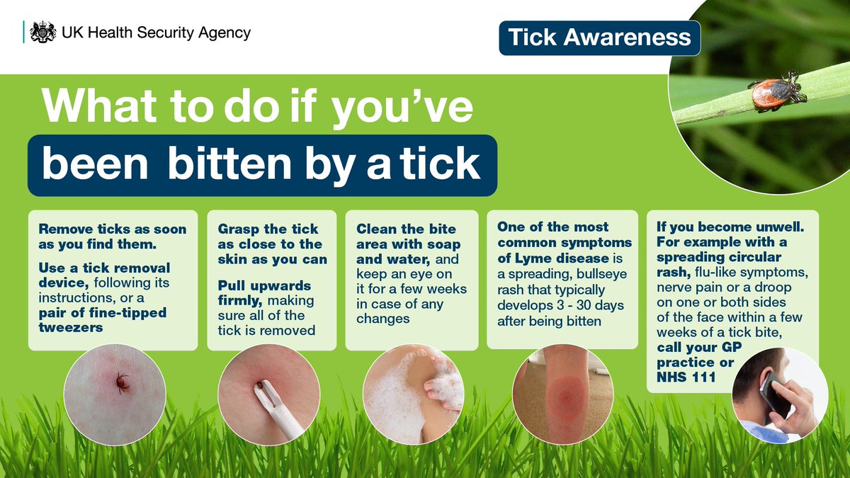 🪳 By taking the right precautions and being #TickAware you can help protect yourself & your family from tick bites. Read more: ukhsa.blog.gov.uk/2024/03/21/wha… #BeTickAware 👇 Make sure you know what to do if you're bitten