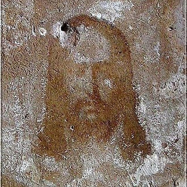 RusKrest77's tweet image. Чудо произошло в Свято-Успенском монастыре на границе Беларуси и России. Засиявший на стене образ Христа, словно две капли воды, похож на знаменитый плат Нерукотворный Убрус, сохранивший материальный отпечаток лика Христа Спасителя. Как и его образ с Туринской плащаницы.