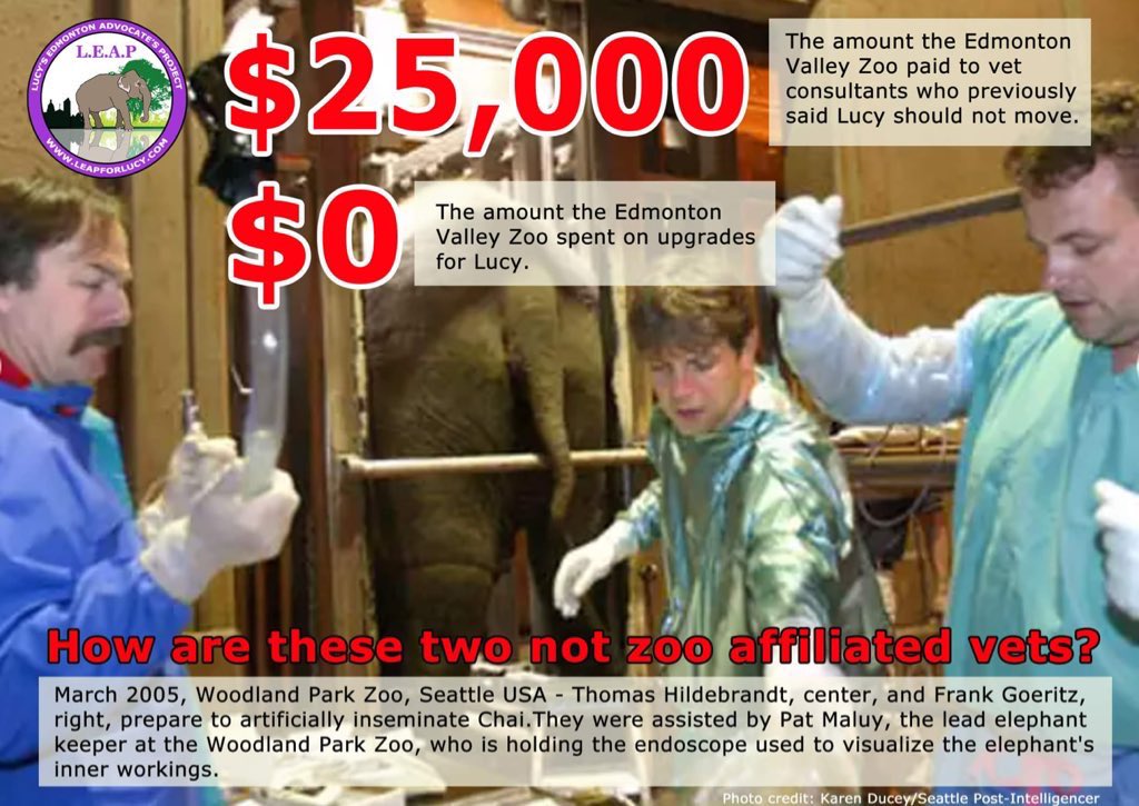 It seems strange @AndrewKnack when #ValleyZoo say they have no money. BUT they can pull out $25k for an assessment when we bet #Lucys previous assessments cost significantly less. So where did the money come from and how much did Valley zoo pay for Lucys previous assessments ⁉️