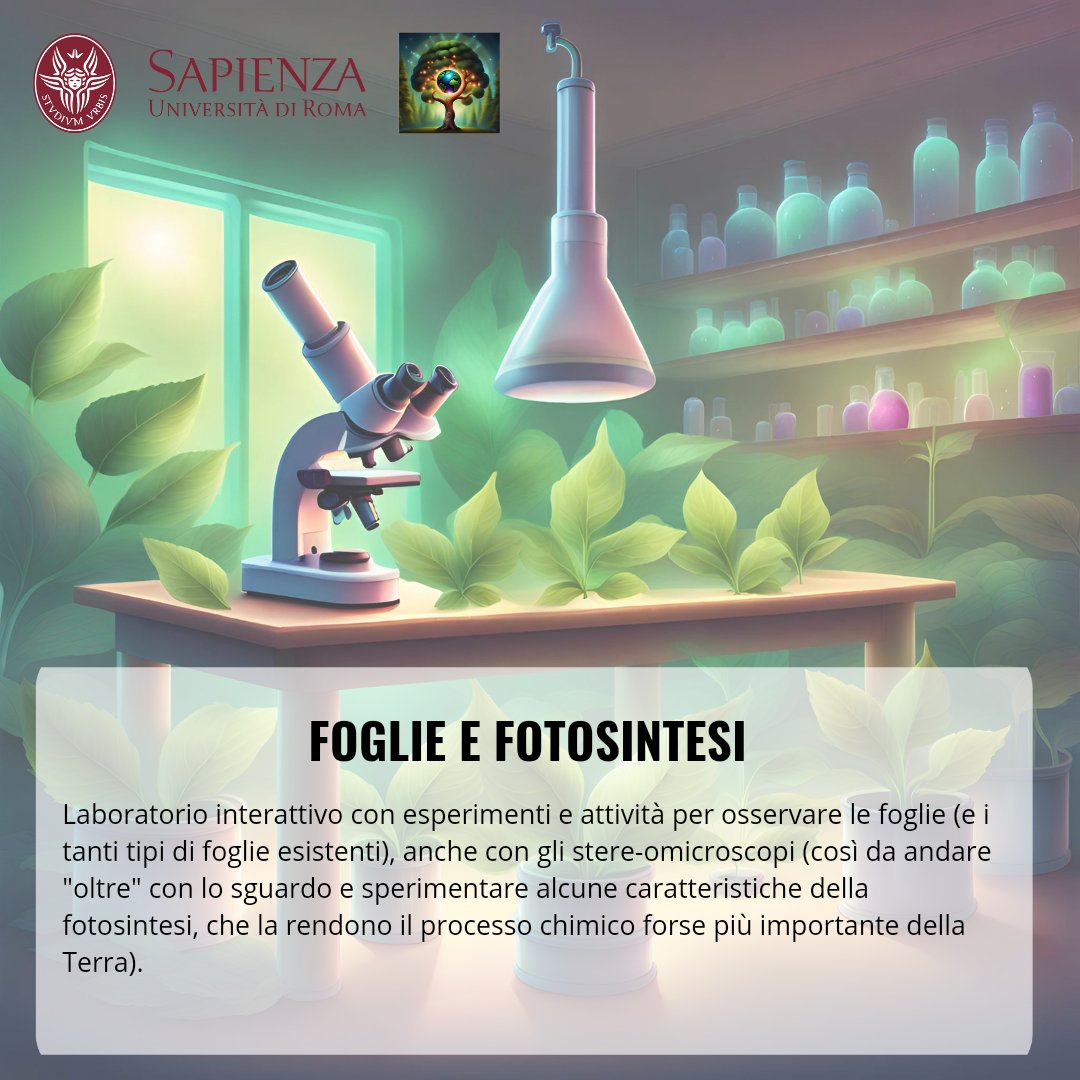 Ancora pochi posti rimasti! 
Laboratorio dedicato a bambini e bambine dai 7 agli 11 anni!
Presso il Patio dell'ex Area Ristoro all'Orto Botanico di Roma 📍
Ore 18:00, venerdì 12 aprile 🕕
Vi aspettiamo per la Notte Internazionale della Geografia 🌍🌎🌏
#geonight #AIIG #Geography