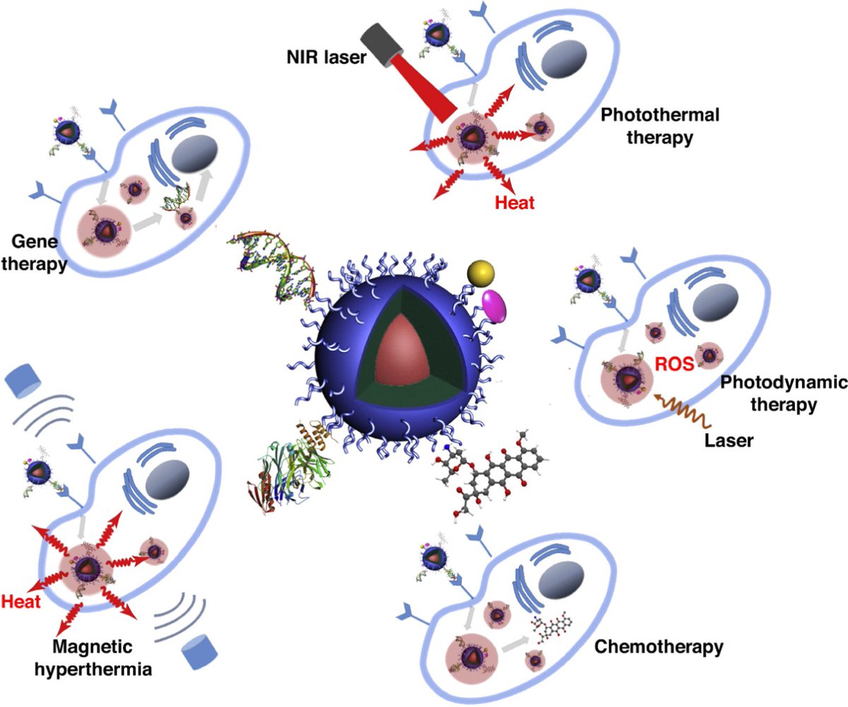 Check out how #nanomedicine can augment cancer therapy in our latest review from Jacek Sikorski et al on superparamagnetic iron oxide nanoparticles in cancer theranostics doi.org/10.1088/1361-6… via @iopnano #OpenAccess
