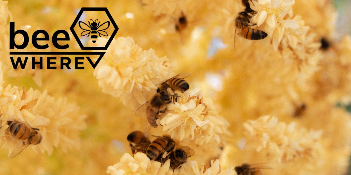 Bees are crucial pollinators who pollinate two-thirds of what we eat! BeeWhereCA brings together key stakeholders to protect these important pollinators. Learn more about BeeWhereCA today at beewherecalifornia.com