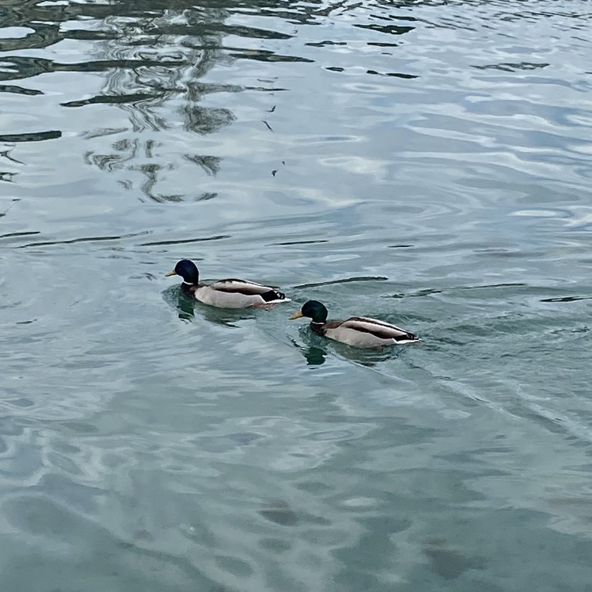 cloudy day in lausanne