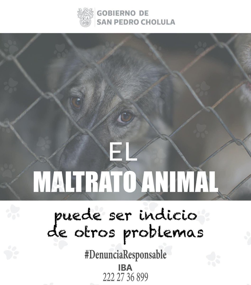 Juntos somos la voz de cada michi y lomito. Unámonos para erradicar el maltrato animal y brindarles hogares dignos.
¡Fomentemos en niñas, niños y comunidades una tenencia y #DenunciaResponsable!
Ante actos de crueldad, comunícate al Instituto de Bienestar
Animal
222 273 68 99.
