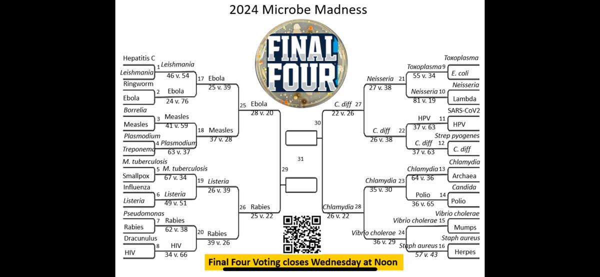 Who will make it to the 'SHIP? 2 Lethal Viruses 2 Bacteria that begin with a 'C' It's anyone's guess. Voting ends NOON on WED, 4/10.