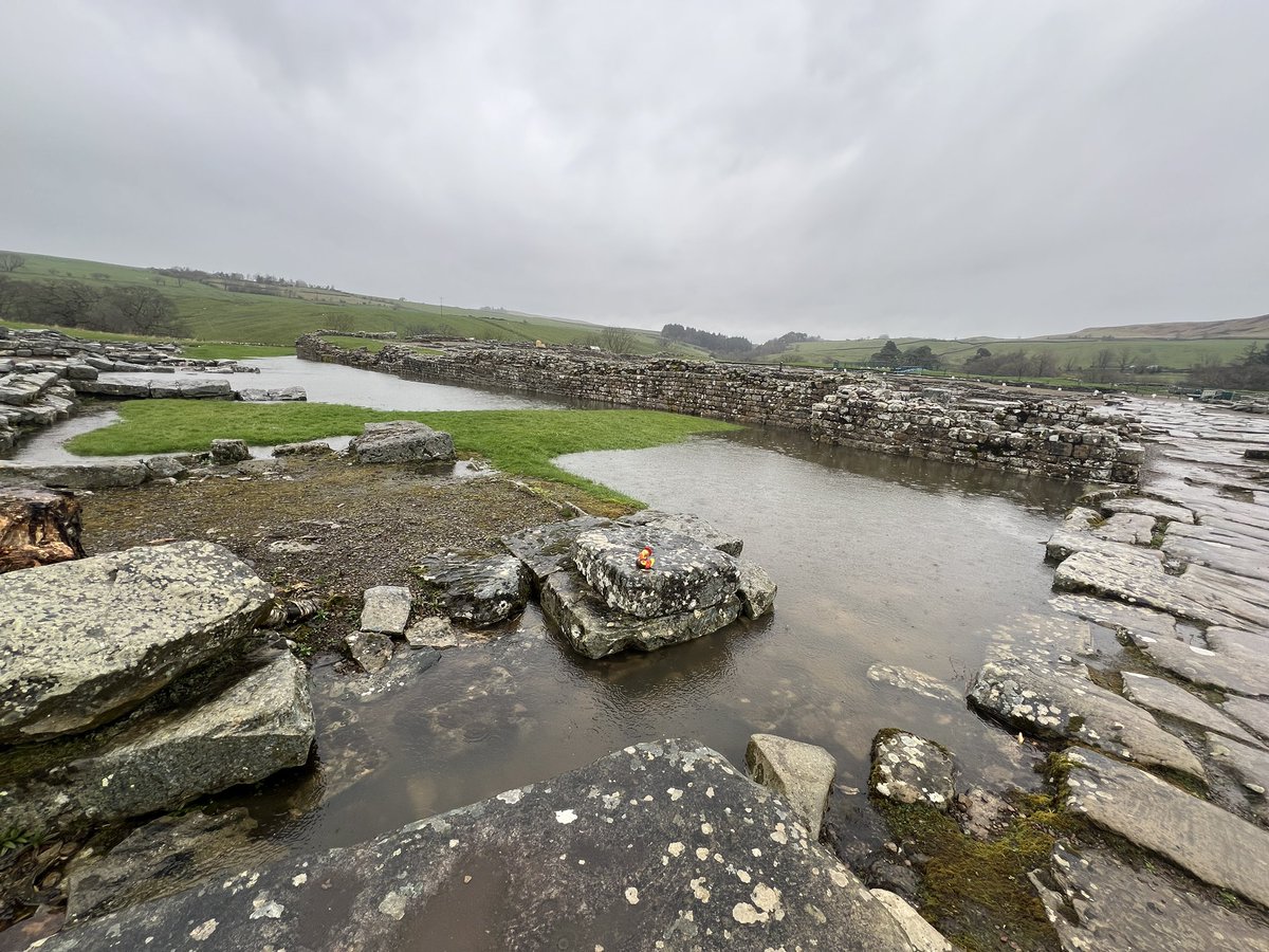 We have had a deluge of rain today. A few parts of the site are under large pools of water but our stream level in the museum garden is slowly starting to drop, so hopefully over the worst. What a day! 
#Vindolanda