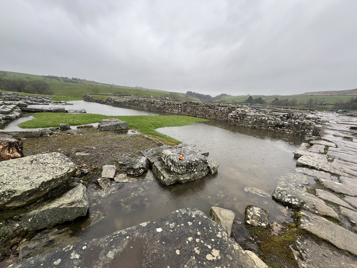 We have had a deluge of rain today. A few parts of the site are under large pools of water but our stream level in the museum garden is slowly starting to drop, so hopefully over the worst. What a day! #Vindolanda
