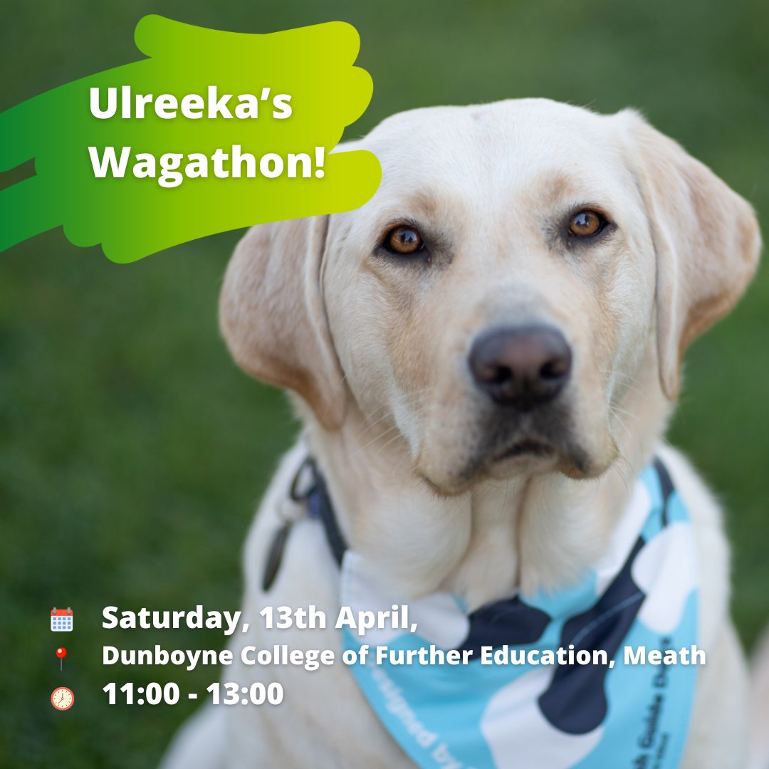 The countdown is on for Community Dog Ulreeka’s Wagathon! 🐾 
Capture memories on the day with;
✅Pet portraits,
✅Paw prints,
✅Caricatures
For more information visit UlreekasWagathon.ie
#ChangingLives