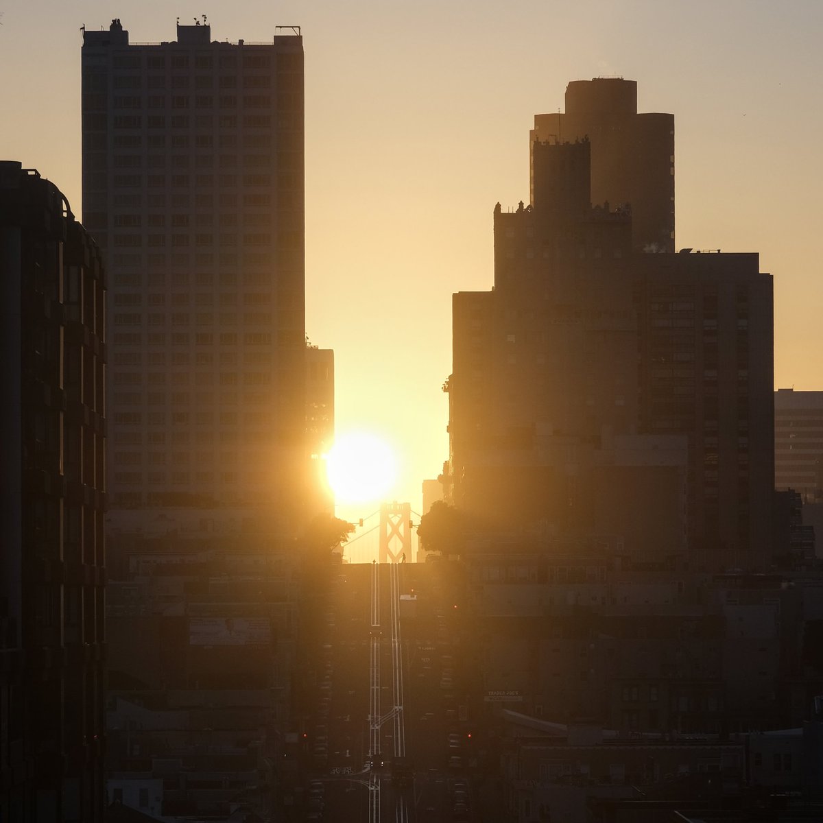 California Henge, when the sunrise aligns with California street, twice a year. With no fog this time! #californiahenge #sanfrancisco