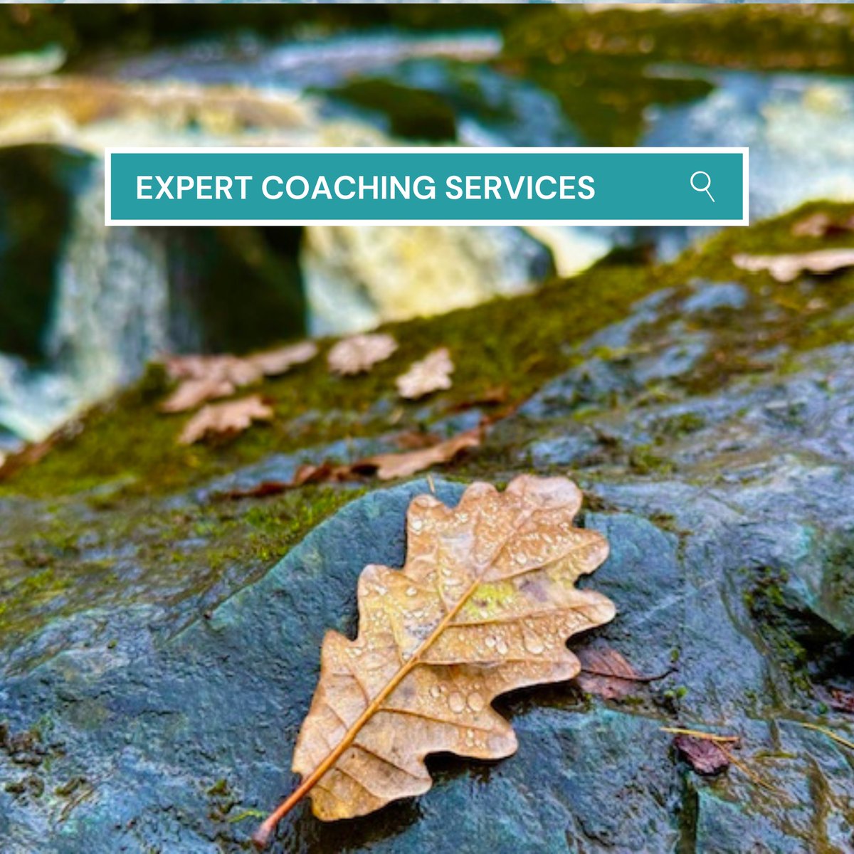 Connected Coaching NE tweet media