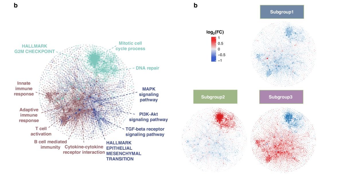 Dr Wang Lab (@thewanglab) on Twitter photo 