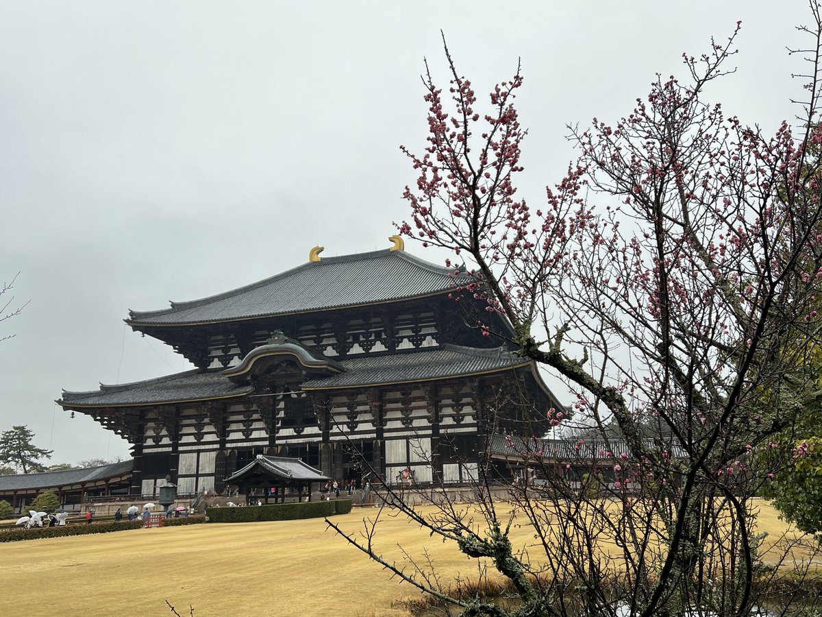 #大仏の日・大仏開眼の日
752年4月9日は、奈良・東大寺の大仏が完成し、魂入れの儀式が行われた日。
宇佐神宮のご神託も大仏完成に大きく関係しているとか。

先日中学生の時以来に拝観しました。
しばし見上げて祈った事は、多分当時の人々とさして変わらないのでしょう😌

#東大寺
#東大寺盧舎那仏像