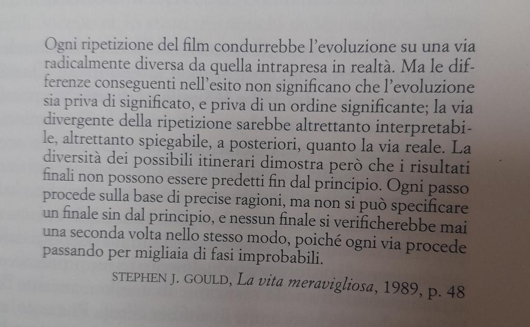 Corrado Griffa (@corradogriffa) on Twitter photo 