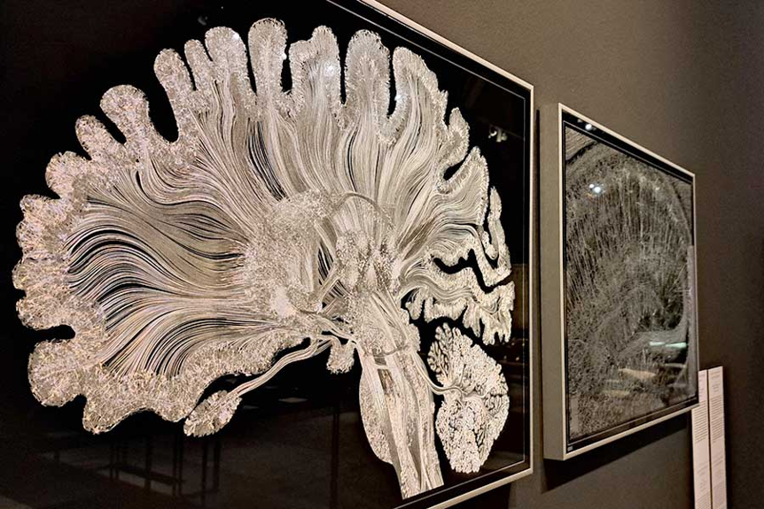 DIPCehu's tweet photo. Gaur @santelmomuseoa-n 👇

📌 Hizkuntza, garuna eta elebitasunaren arteko lotura
👩‍🔬 Ihintza Malharin @bcbl_ko ikerlariaren aurkezpena
👨‍🔬 DIPCko ikerlaria den @garciaetxarri-k elkarrizketatuko du
📆 04/09, 19h
🔊 Eus
+info: https://t.co/WTa21wlkuG

#Garuna(k) @donostiakultura https://t.co/iBG3C7FDym