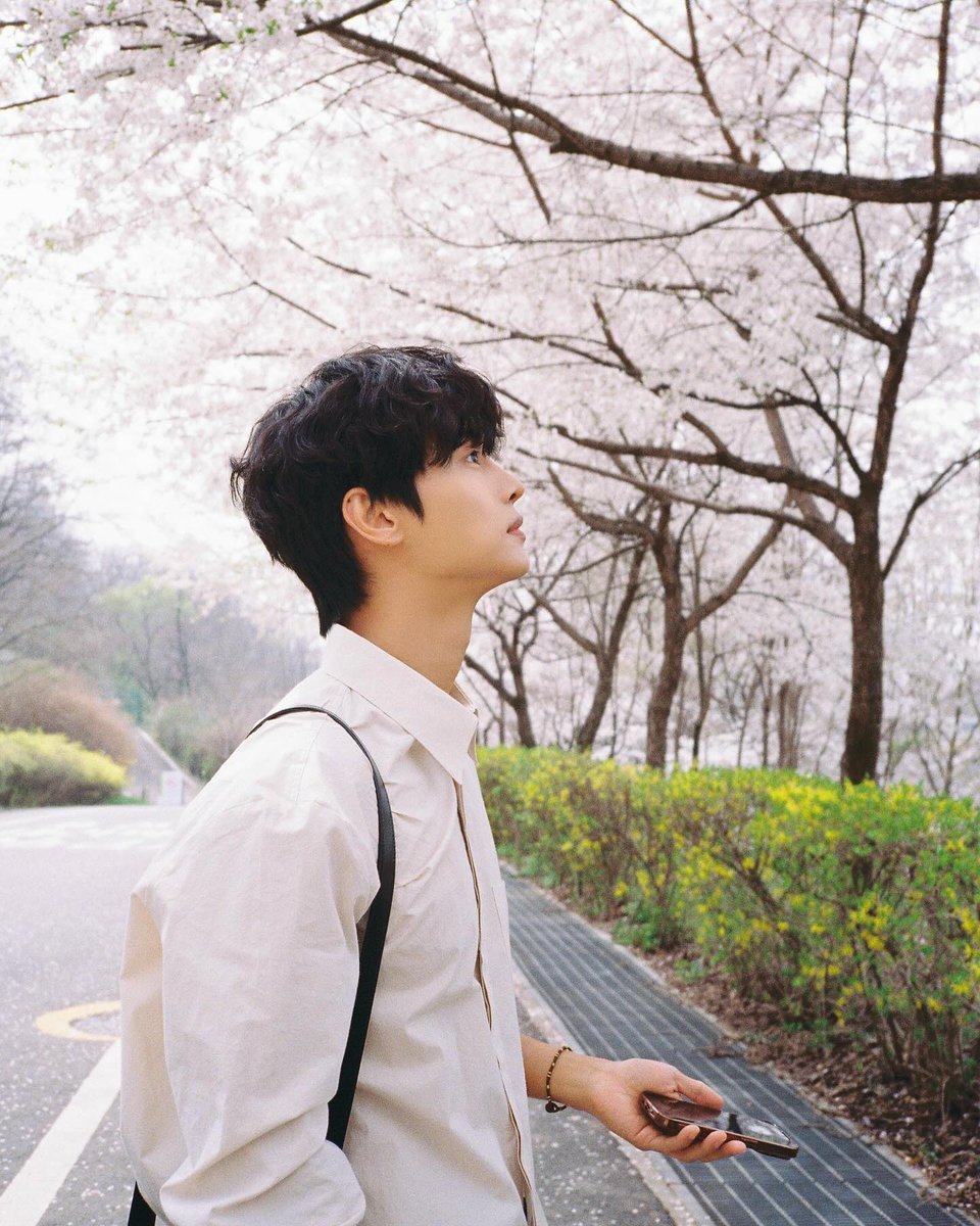 nest0630_com's tweet photo. 🌸 

#엔스타그램 #오늘의기록 #차학연 @CHA_NNNNN https://t.co/j6ZyOUe8Pk