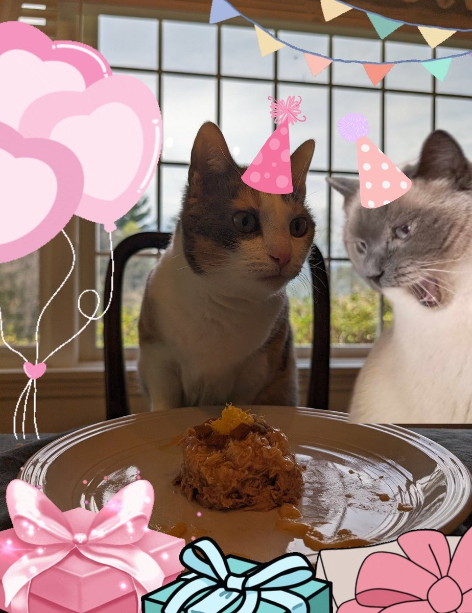 HAPPIEST BIRDAYE MY LOAF!! yam sew grateful u were borned amd foumd by ur hooman.! u r sew pawsum amd gornjuice!!! 🌷🪻🍗🍖🥩 lemme help u with ur cake!! 🩷🌸🎊🍰💟🥹