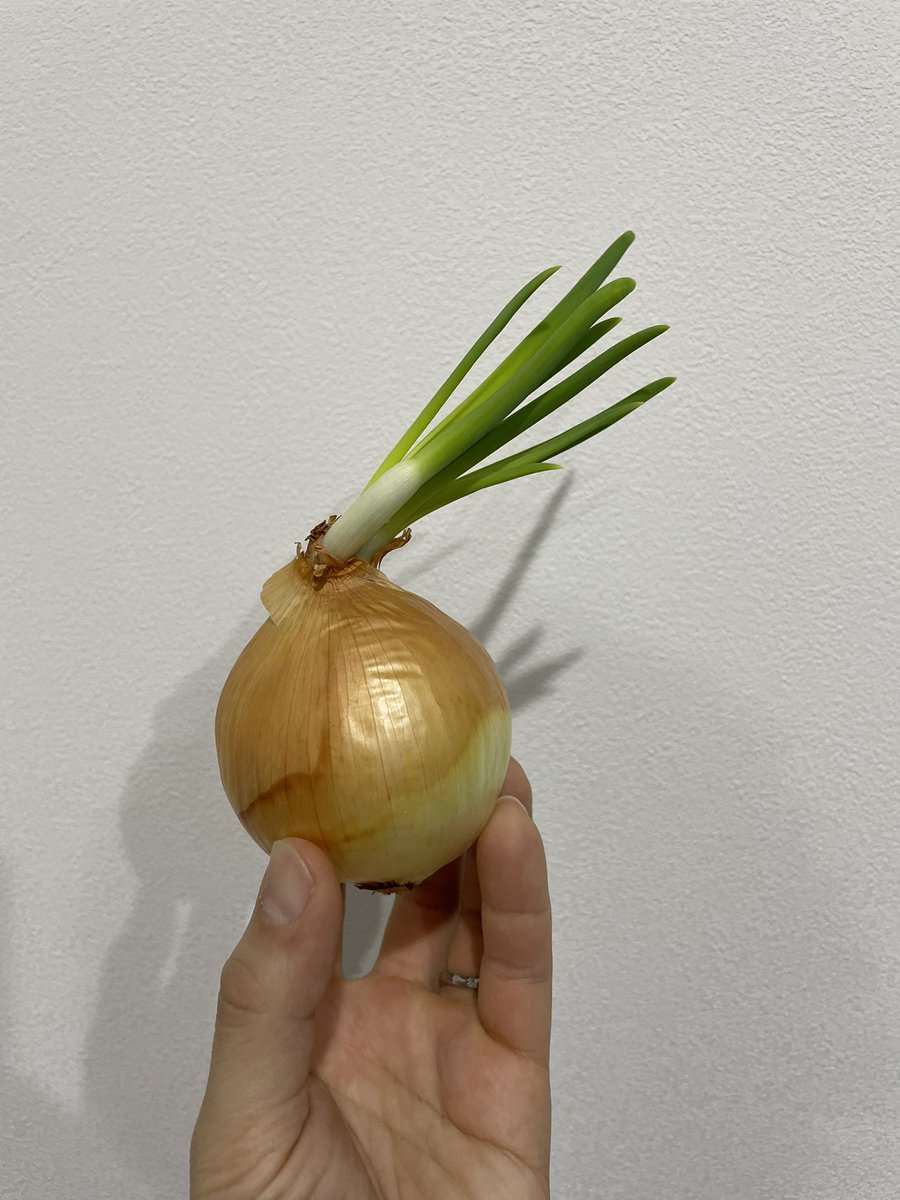 ビニウサ@Xリハビリ中 tweet media