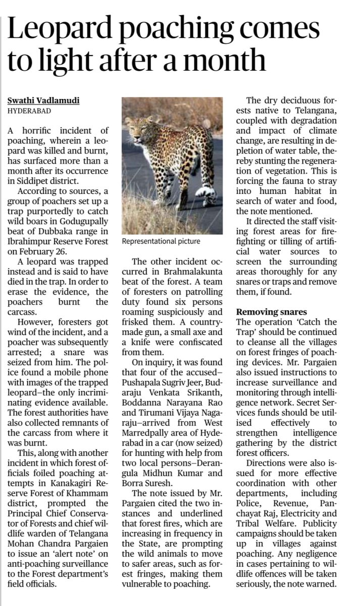 Increasing #fire incidences and #water scarcity are making wild animals vulnerable to poaching. Please share any information related to hunting/poaching to concerned DFO or Call 9803338666 18004255364. Help us to protect wildlife. @TelanganaCMO @TelanganaCS @KMuraliSurekha