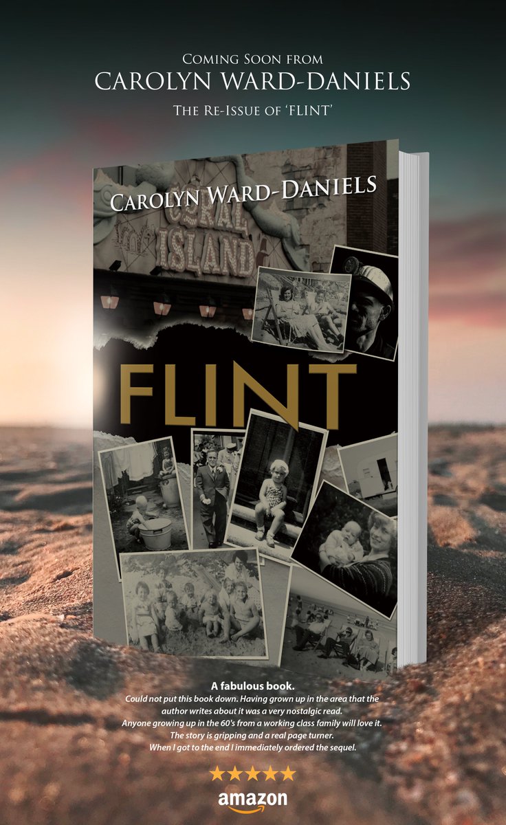 FLINT is a family drama with murder. The time line begins 1949 with a mining disaster and takes the reader through to 1970. A nostalgic trip with nice and nasty characters. A trip to the seaside turns into something much more. mybook.to/i753