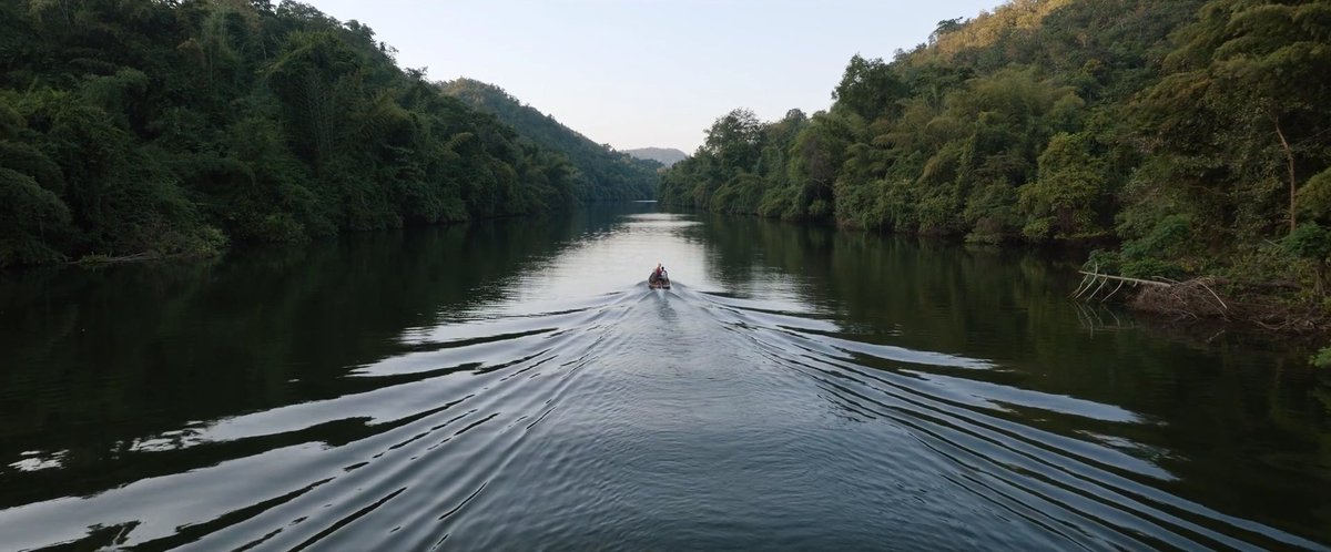 TheCinesthetic's tweet image. Tár (2022) dir. Todd Field