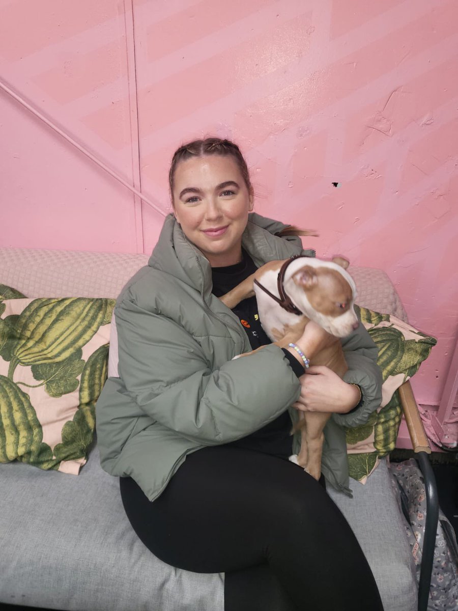 Lads Like Us tweet media