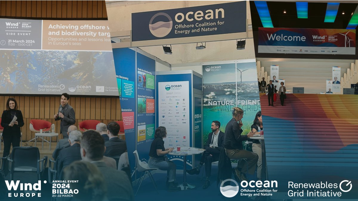 📸 Pictures now available 📸 RGI and OCEaN Members had a blast at @WindEurope's 2024 Annual Event - now's your chance to view the highlights! 🎞Browse all the photos from our #WindEurope2024 workshop on achieving offshore wind & biodiversity targets👉🏽flickr.com/photos/renewab…