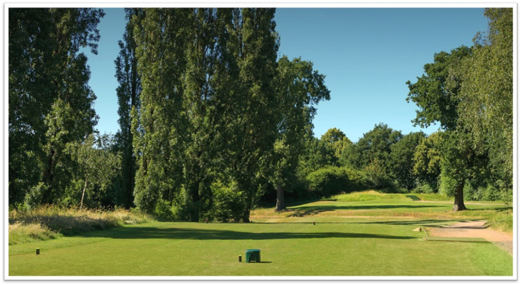Muswell Hill GC tweet media