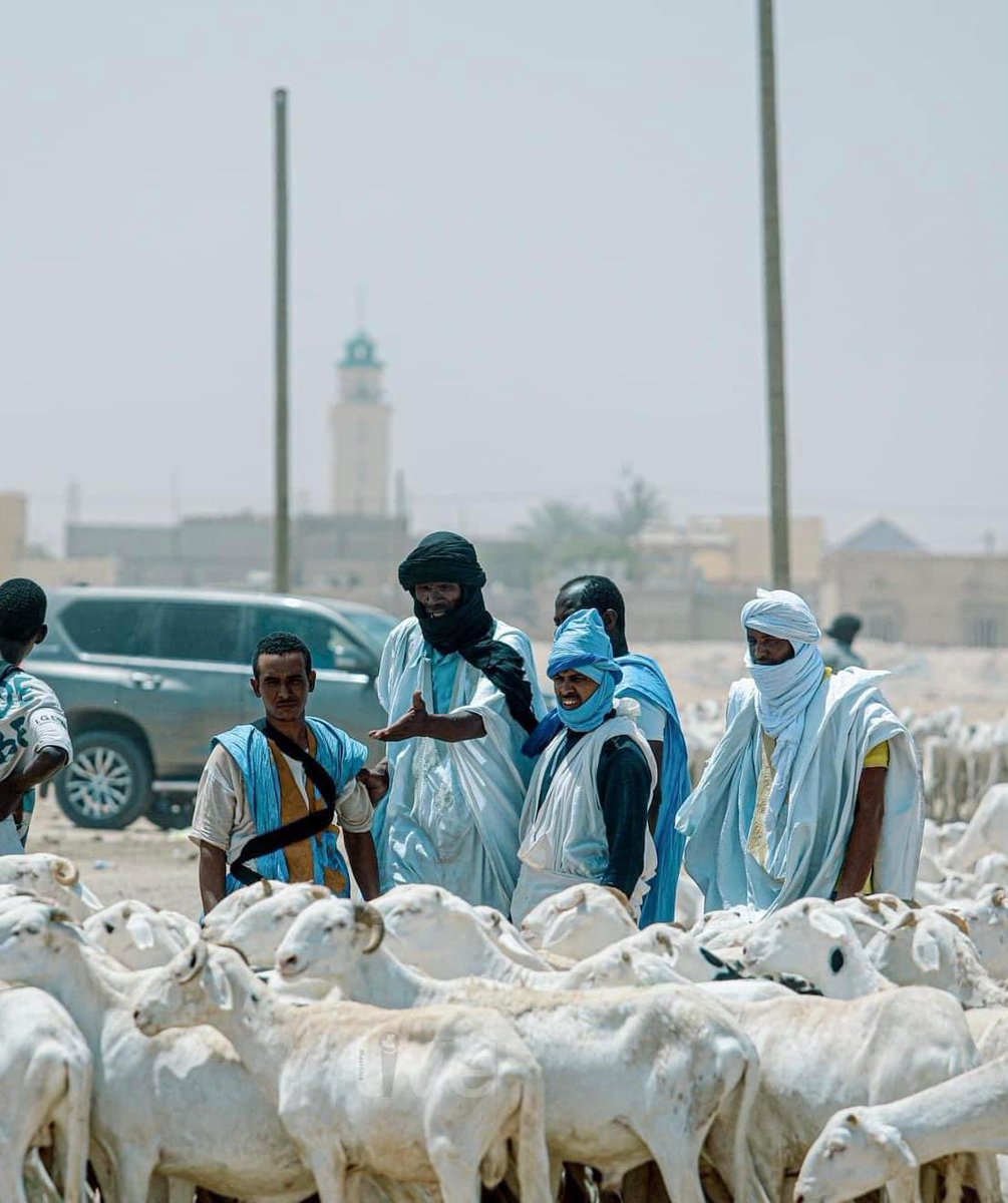 صورة من أسواق موريتانيا 

سابگ العيد