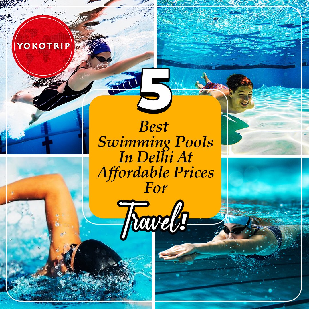 yokotrip's tweet image. 5 Best Swimming Pools in Delhi at Affordable Prices for Travel 

Don't Miss out on these Must-Visit Places:

1. Pacific Sports Complex
2. Khajan Singh Swimming Academy
3. Ramagya Sports Academy

#swimmingpools #pools #bestpools #mustvisit #place #cool #summer #yokotrip