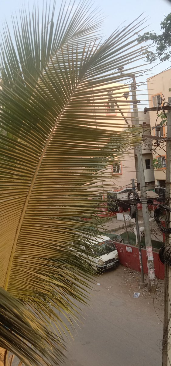 sampath reddy pocharam tweet media