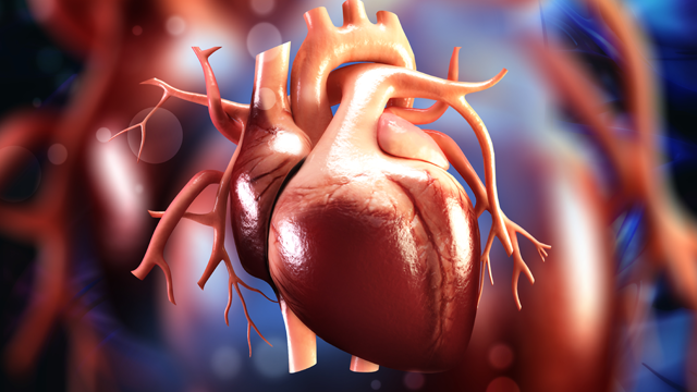 📚New #JAPSCJournal Article: 'Polypill in Heart Failure Survey' 📚 Just Published! 🔓Access it here 👉 ow.ly/g17G105oW9J @sazzlikasim @apsc_office #HeartFailure #CardioTwitter #MedEd