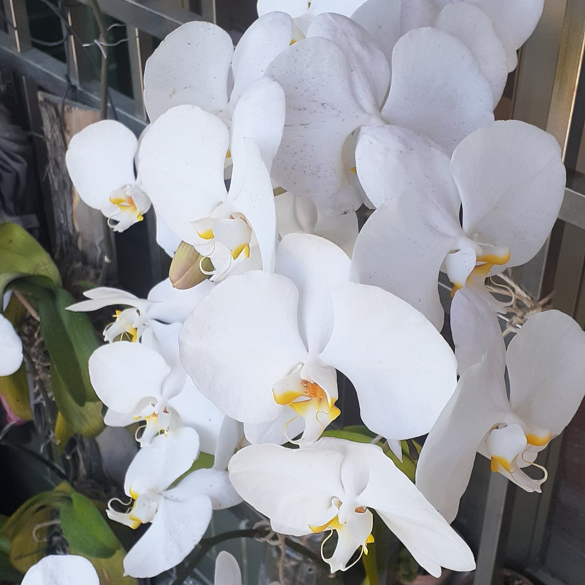 #新個人資料相片