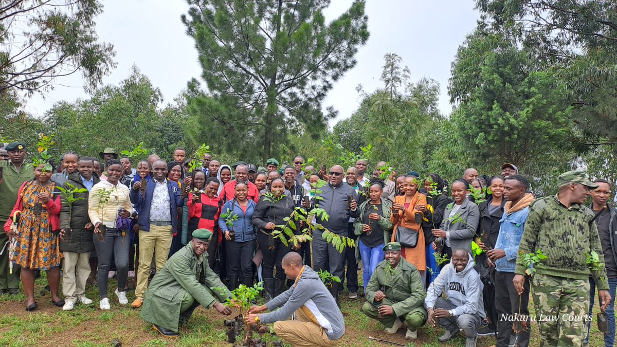 LawNakuru's tweet photo. In the continuation of the a billion trees campaign, today Nakuru Law Courts,  LSK Nakuru through Environment and Land Court led by the PJ Hon. Antony Ombwayo, Hon. Nyaga - Judge and DR. ELC Hon. P. Nyotah demonstrated their commitment by planting trees at Nakuru GK main prison https://t.co/MmCNofIazp