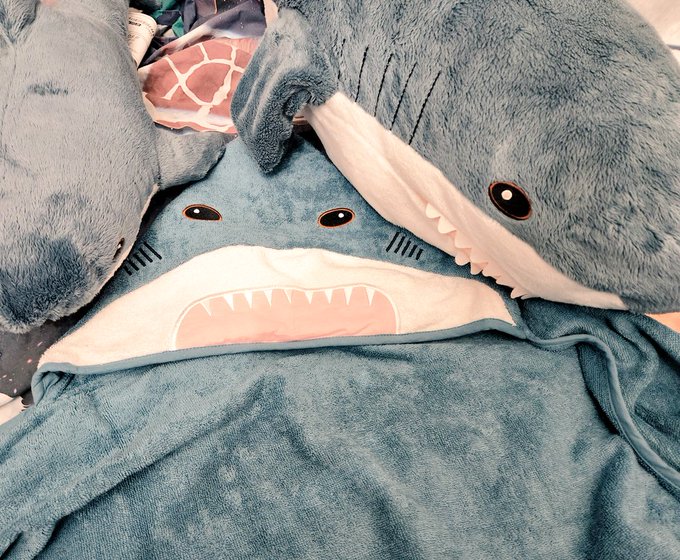 「shark stuffed toy」 illustration images(Latest)