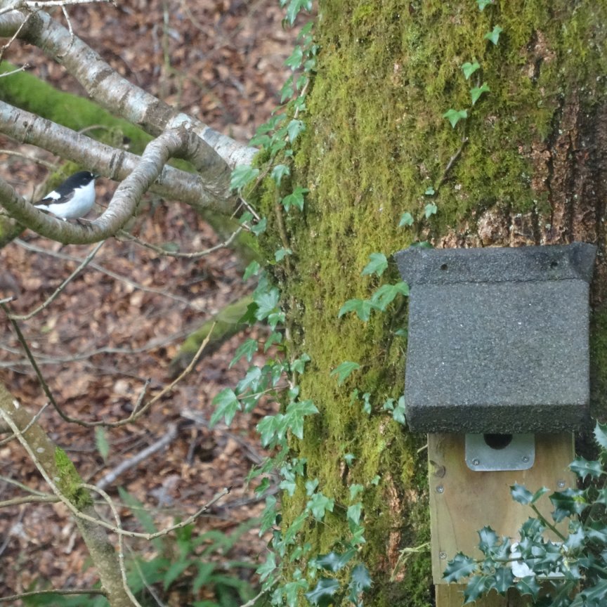 BarnOwlTrust tweet picture