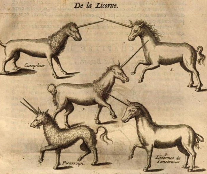 It's #NationalUnicornDay 🦄 To celebrate here are some fabulous #unicorns from Pierre Pomet's Histoire generale des drogues (c.1694). Unicorn horn was believed to have miraculous medicinal properties that could cure all manner of ills