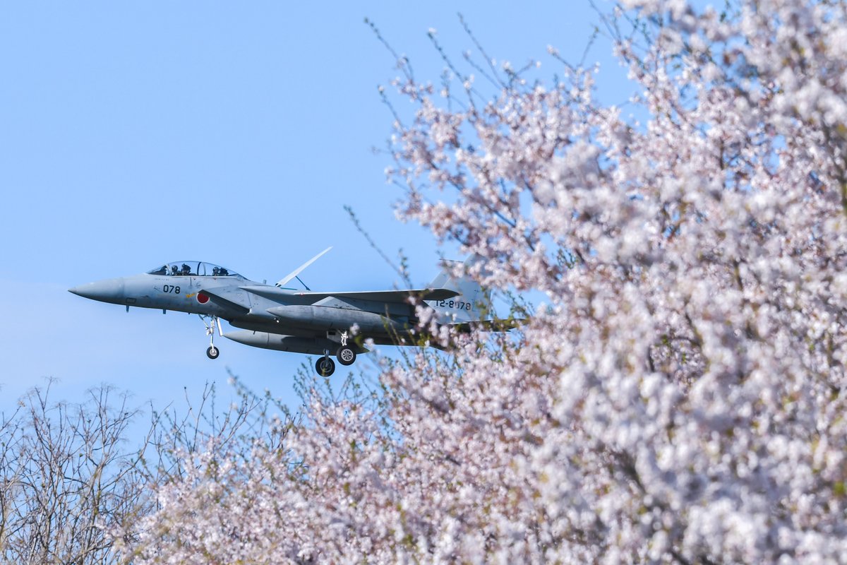 4/9 岐阜基地 RJNG F-15DJ 078 複座のイーグルと桜を愛でてきました🦅🌸