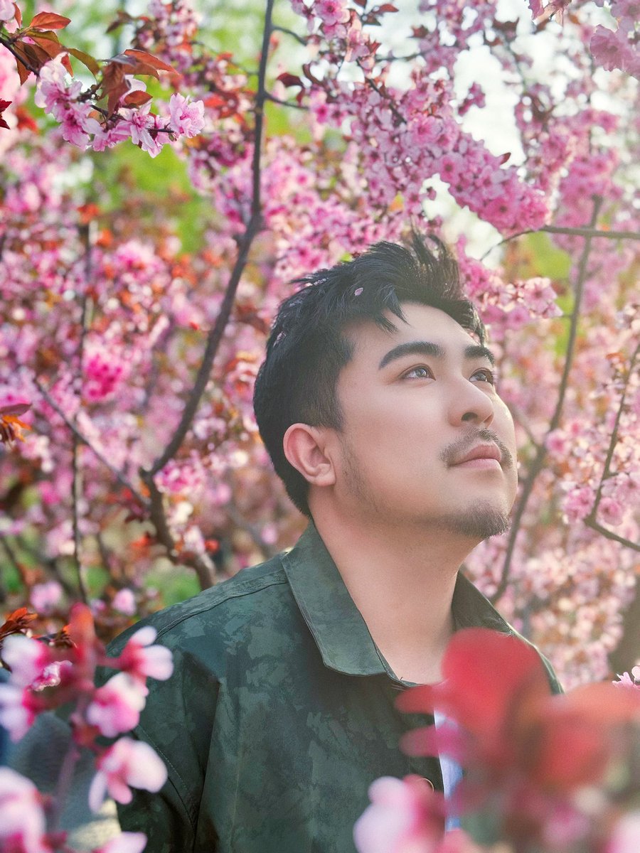 ProPandas_Cass's tweet image. SPRING!!!!🌸💚🍃😍#producepandas #熊猫堂 #卡斯 #Cass #spring