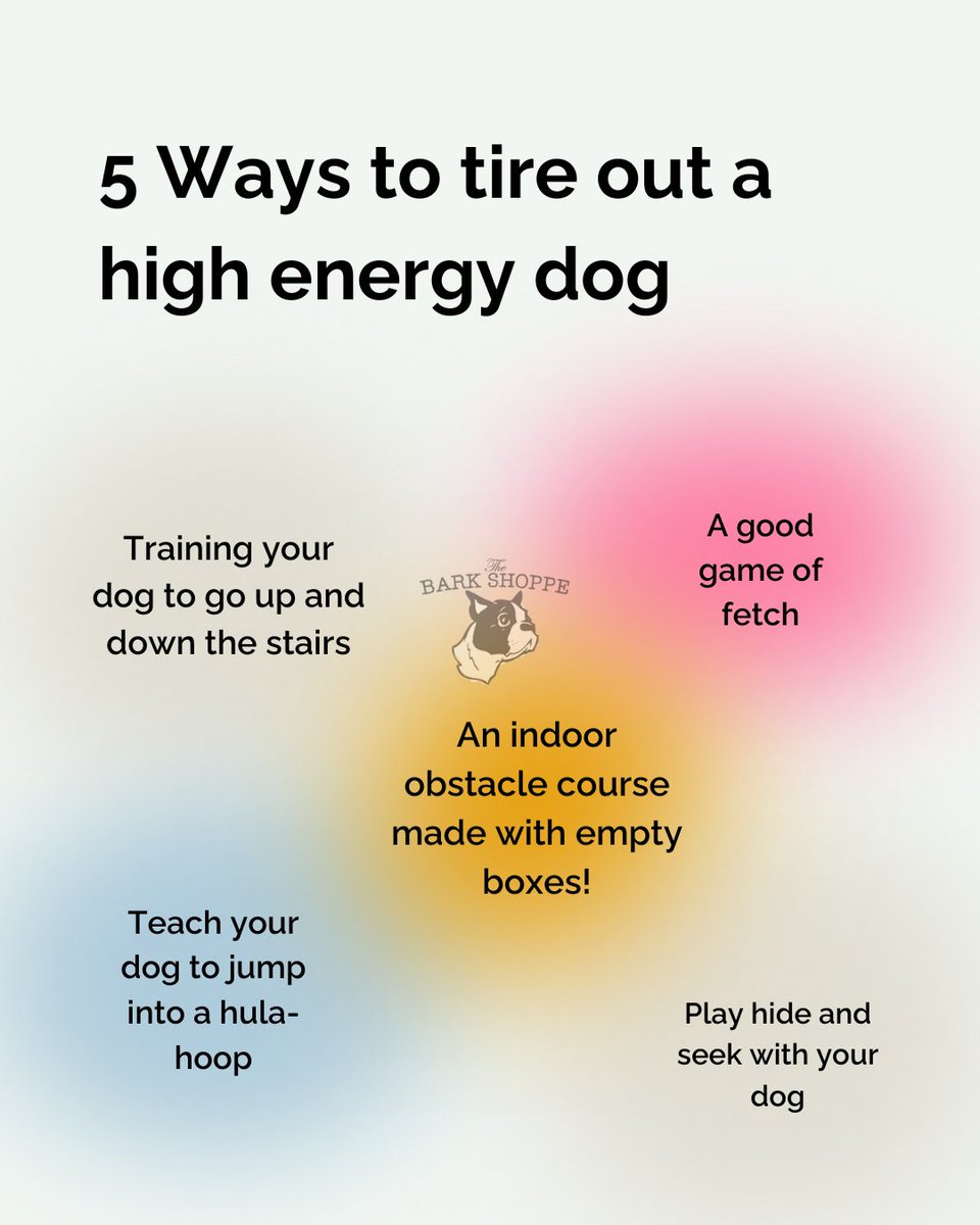 What do you do on days when you can’t take your dog out for a walk due to bad weather or other conflicts? How do you manage all that pent-up energy?

Here are 5 ways to keep your furball's energy in check and maintain the peace at home.

Comment with your best tip!
#thebarkshoppe