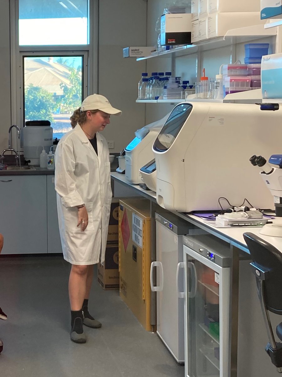 Meet Sydney Bell @motherofcorals, Working hard from ocean to molecular lab! She is undertaking a PhD at @jcu investigating biogeographic patterns in coral symbionts across Australia’s reefs! #DECRA @arc_gov_au @ExmouthResearch @minderoo