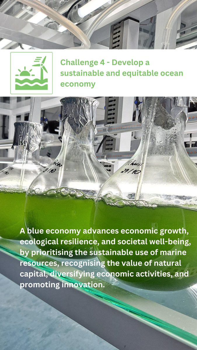 📈Challenge 4 - Develop a sustainable and equitable ocean economy 

A #BlueEconomy advances economic growth, ecological resilience, and societal well-being, recognising the value of #NaturalCapital, diversifying economic activities, and promoting innovation.  

@UNOceanDecade