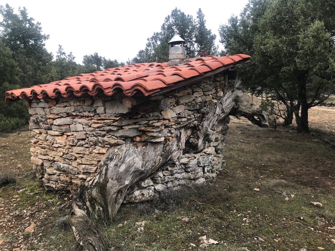 El ingenio y el aprovechamiento de oportunidades a partir de los medios disponibles ha caracterizado siempre al medio rural. Un tronco seco de una sabina es un buen comienzo para una caseta de pastor en medio del monte