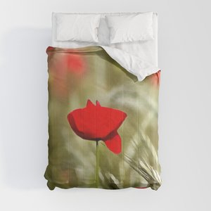 Brilliant Red #Poppy In Wheat Field #PillowSham #taiche #society6  #pillowsham #pillow #pillows #pillowdesign #pillowcase #pillowspray #pillowcover #pillowcases #pillowdecor #pillowlove #pillowtalk #pillowart #pillowcovers #homedecor #bedding #bedroomdecor society6.com/product/brilli…