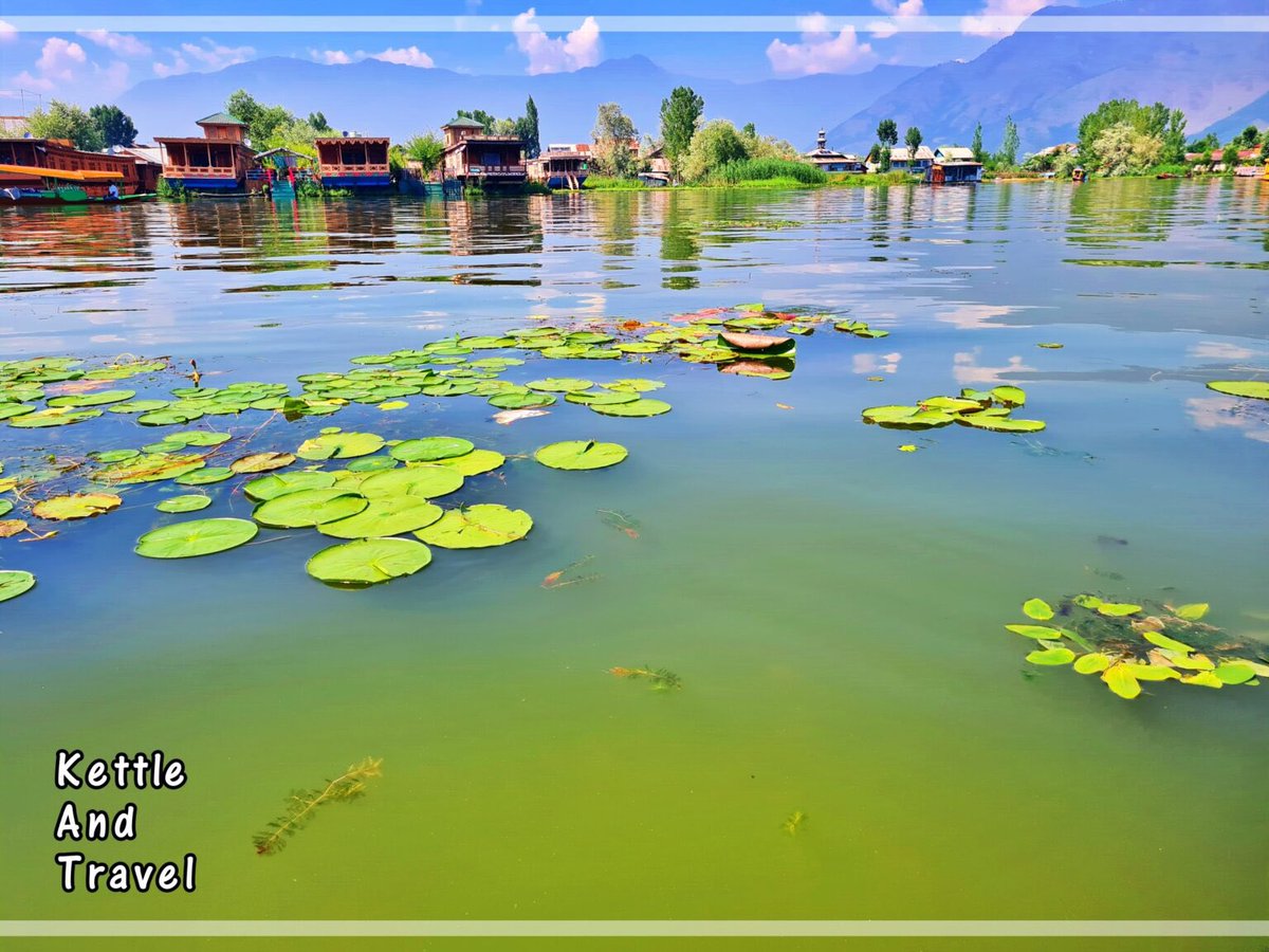 KettleAndTravel's tweet photo. @obligatraveler @intheolivegrov1 @OdetteDunn @pipeaway_travel @LiveaMemory @CharlesMcCool @UnionGapWA @RoadtripC @TravelFoodiesTV @flyawaycouple @wander_filled @sl2016_sl @HHLifestyleTrav There is a pause, a peace, and a scene associated with a lake which is mesmerising in thought itself! Here are our #Top4Lakes
1. Gurudongmer Lake (17k feet ASL), India
2. Lake Tahoe, USA
3. Dal Lake, Srinagar, India
4. Hoan Kiem Lake, Hanoi, Vietnam
#Top4Theme https://t.co/EglEdWh7ef