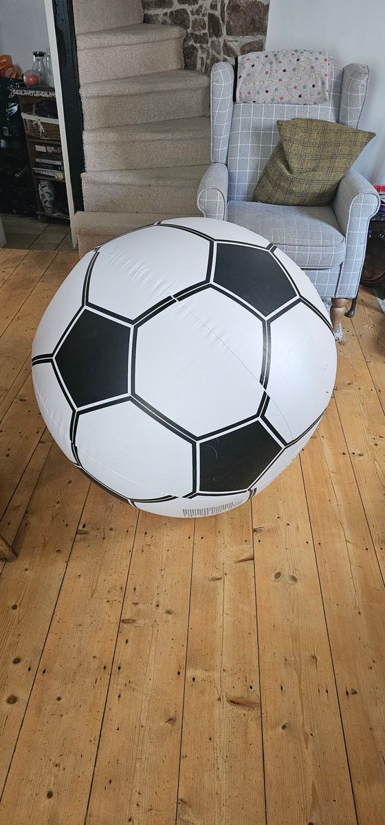 I might have underestimated the size of the 'giant' £3 beach ball from the corner shop for Gimlet to play with... 🤦

#springerspaniel #retrievethat