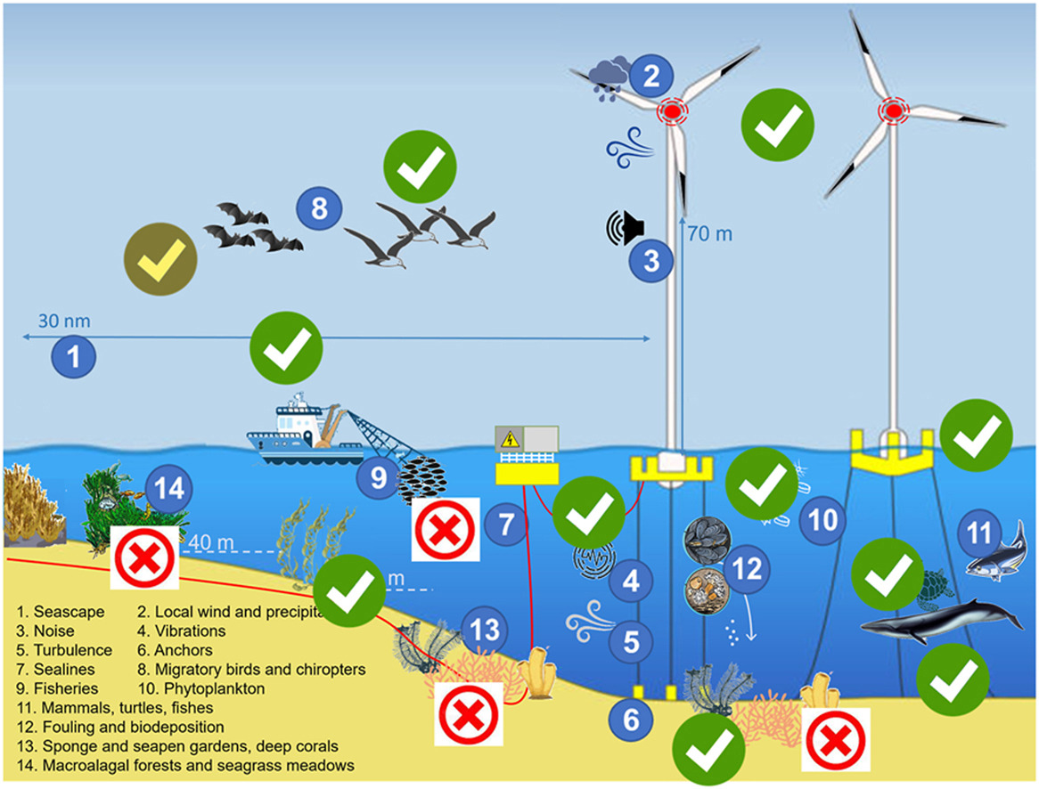 With the progressive expansion of floating #OffshoreWind farms (FOWFs) posing concerns around their environmental impacts, new research in Renewable and Sustainable Energy Reviews dives into the process of creating eco-sustainable FOWF projects. 👉 loom.ly/3IBrDy0