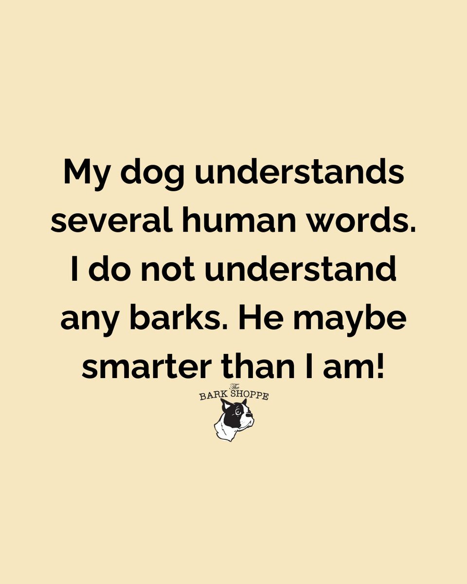 We need a Pawfessor to teach us ASAP!!

#thebarkshoppe #petparent #newyorkpets #doglovers #dogparents #petparents #pawrents #pawrent #dogmomsofinstagram #dogmommy #doglovers #dogloversofinstagram #dogsarethebest