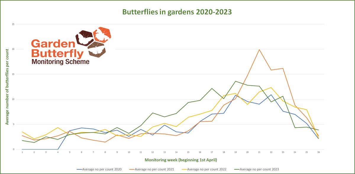 Results of the Garden Butterfly Monitoring Scheme show 2023 was a good year for our common butterflies. Read 2023's Annual Report shorturl.at/kqJMO